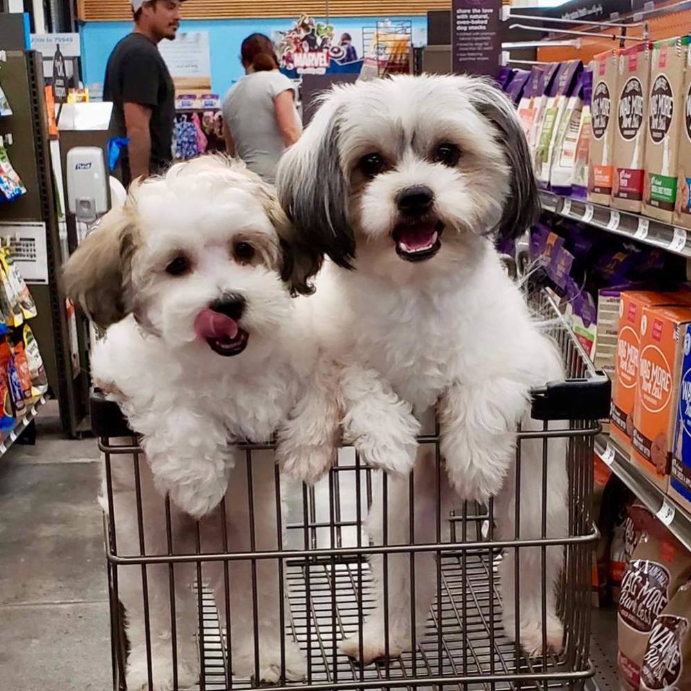 Meet your Posher, Chelsi